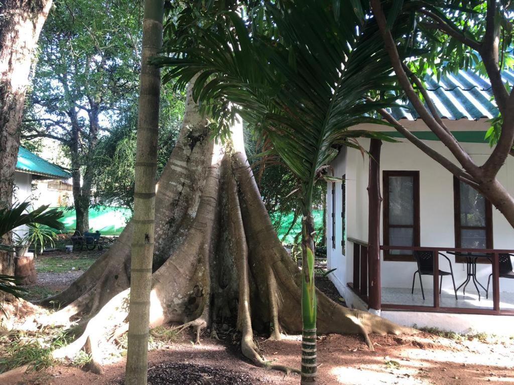 Tropical Paradise Leelawadee Resort كو تشانغ المظهر الخارجي الصورة
